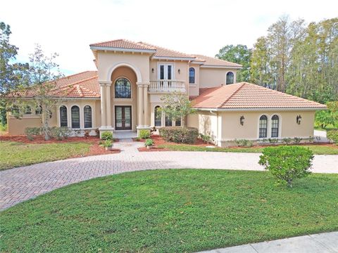 A home in TARPON SPRINGS