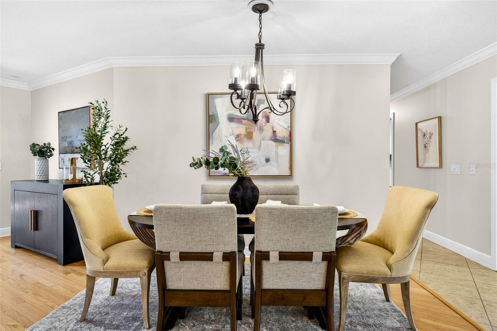 TEMPLE TERRACE ESTATES REP - Residential