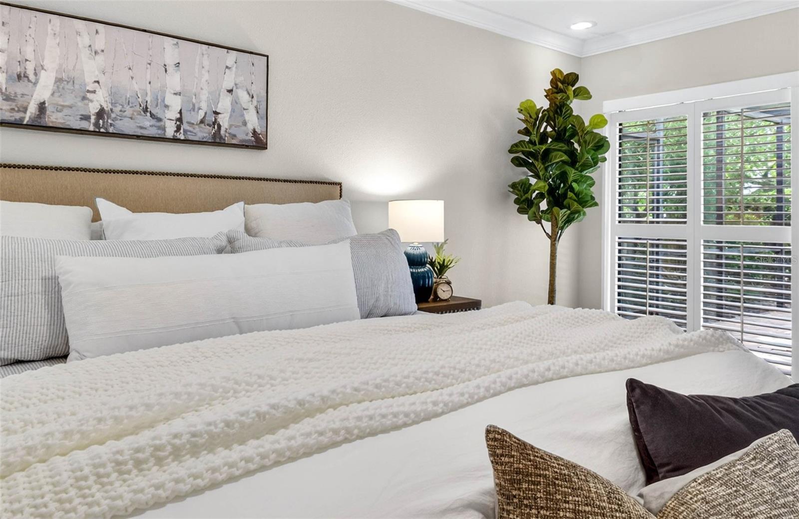 TEMPLE TERRACE ESTATES REP - Residential