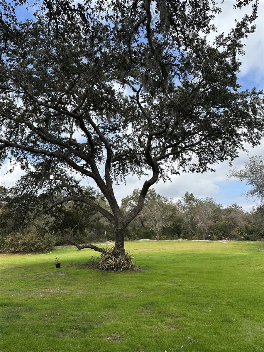 WESTSIDE - Residential