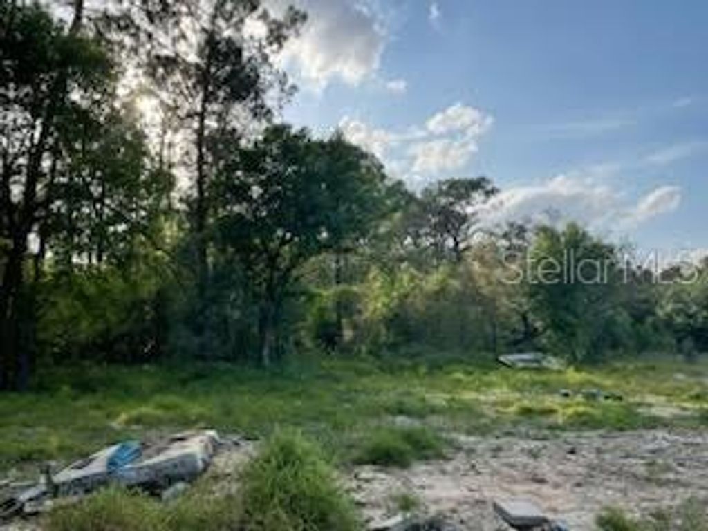 Photo of 10725 Demille Road, Polk City, FL 33868 (MLS # O6294011)