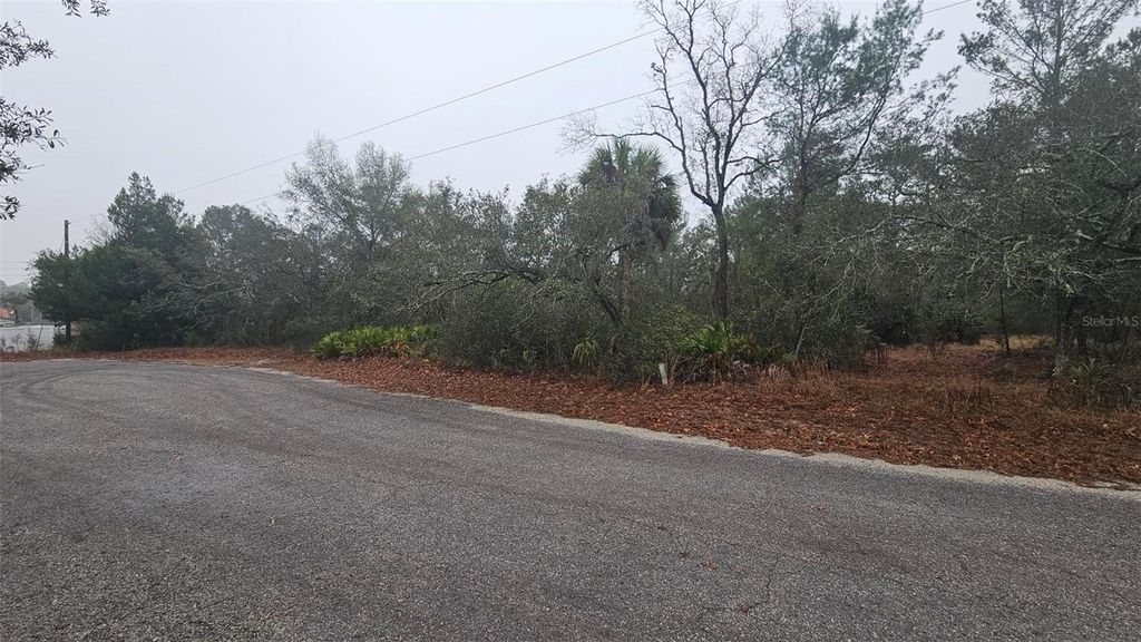 Photo of 0 Indian Trail Road, Weeki Wachee, FL 34613 (MLS # W7882786)