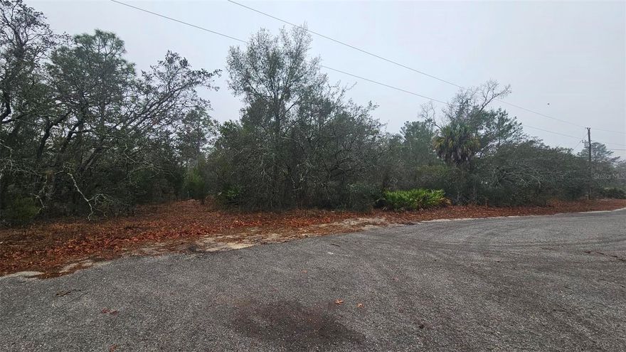 1.4 Acres, a Garage, and Paid Impact Fees!  Build your vision on this 1.4 acre R1A zoned lot, offering the flexibility to place a manufactured home or construct a site-built single family residence.  Tucked away at the end of a paved dead-end road this location provides privacy while still being very conveniently located. A major bonus for this property; Impact Fees for a manufactured home have already been paid!  This property also has the added benefit of a detached garage measuring approximately 24' x 30', perfect for storage, a workshop, recreational vehicles, or your everyday driver. There is an existing well on the property but it will need to be tested for functionality.  The location is hard to beat; just minutes from Cortez Boulevard and US-19, giving you quick access to shopping, dining, a major hospital, and everyday conveniences.  For the outdoors enthusiasts will appreciate the  proximity to Weeki Wachee Springs State Park for kayaking, mermaid shows, and a water park.  Whether you are planning to build now, invest for the future, this property offers space, flexibility, and a prime location to make it happen.

All information intended to be accurate, however it is the buyer and buyer agent's responsibility to confirm all information.