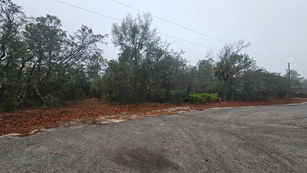 Photo of 0 Indian Trail Road, Weeki Wachee, FL 34613 (MLS # W7882786)