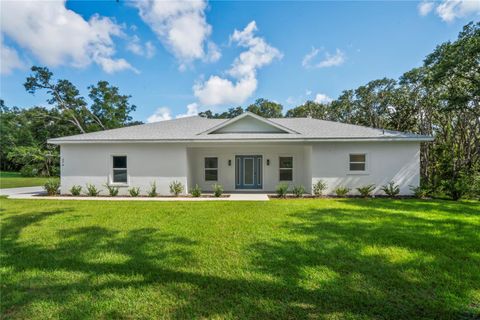 Photo of 279 W Pearson Street, Hernando, FL 34442 (MLS # TB8413587) Photo of 279 W Pearson Street, Hernando, FL 34442 (MLS # TB8413587)