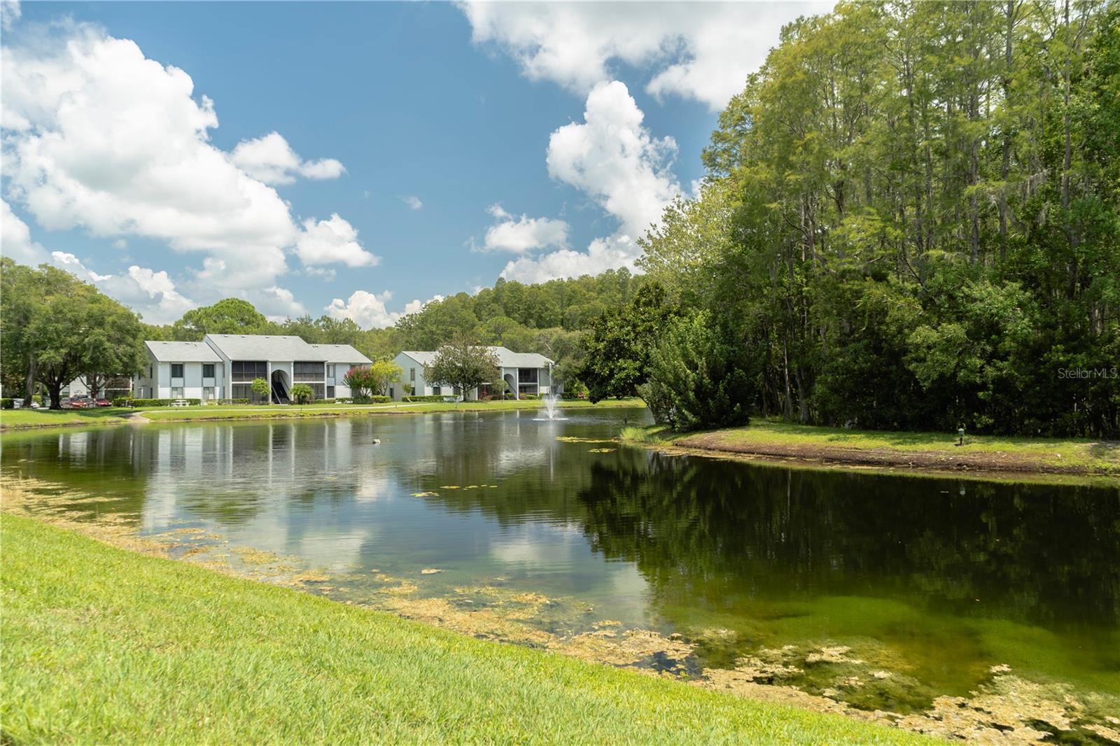 1309 PINE RIDGE CIRCLE E D3
