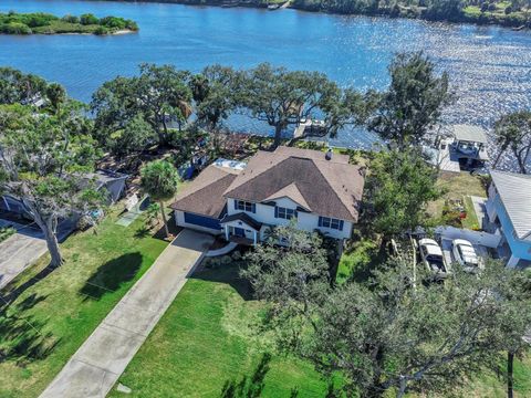 9211 RIVER COVE DRIVE RIVERVIEW FL 33578