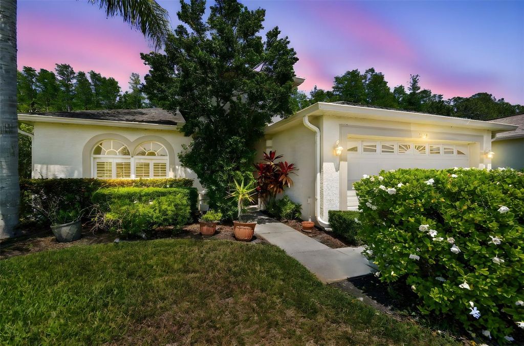 Photo of 1119 Dustan Place, Trinity, FL 34655 (MLS # W7875037)