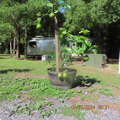 A home in OCALA