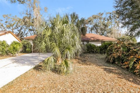 4416 PAWNEE PATH VALRICO FL 33594