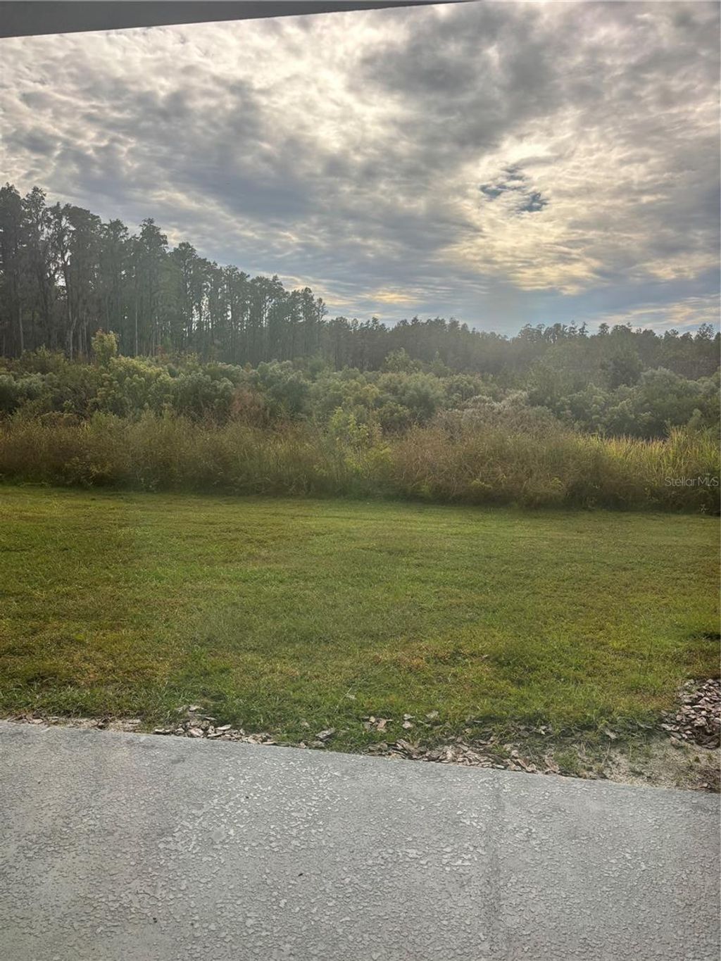 Photo of 32253 Turtle Grace Loop, Wesley Chapel, FL 33545 (MLS # TB8446544)