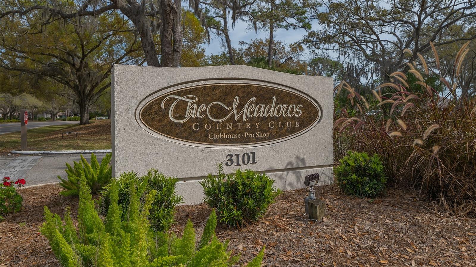 THE MEADOWS - Residential