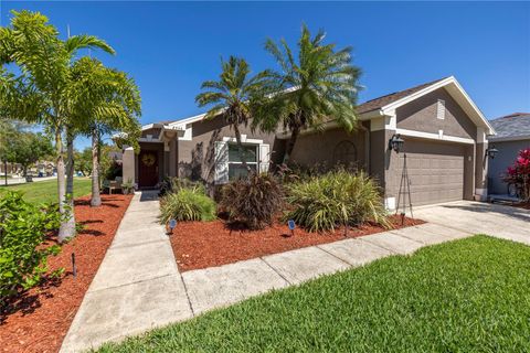 A home in TAMPA