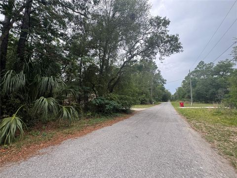 Tiny photo for 3462 E Michael Street, Inverness, FL 34453 (MLS # GC540300)