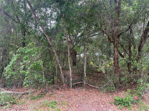 Tiny photo for 3462 E Michael Street, Inverness, FL 34453 (MLS # GC540300)