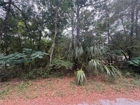 Tiny photo for 3462 E Michael Street, Inverness, FL 34453 (MLS # GC540300)