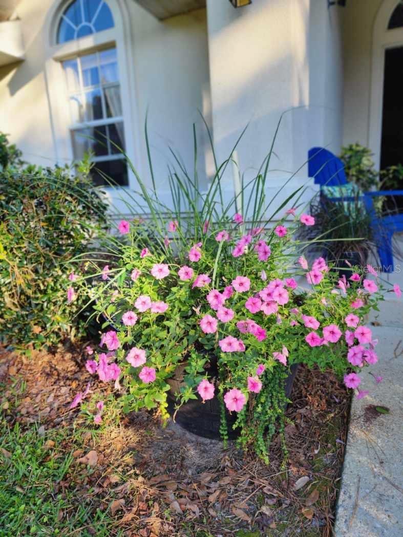 BROADMOOR - Residential