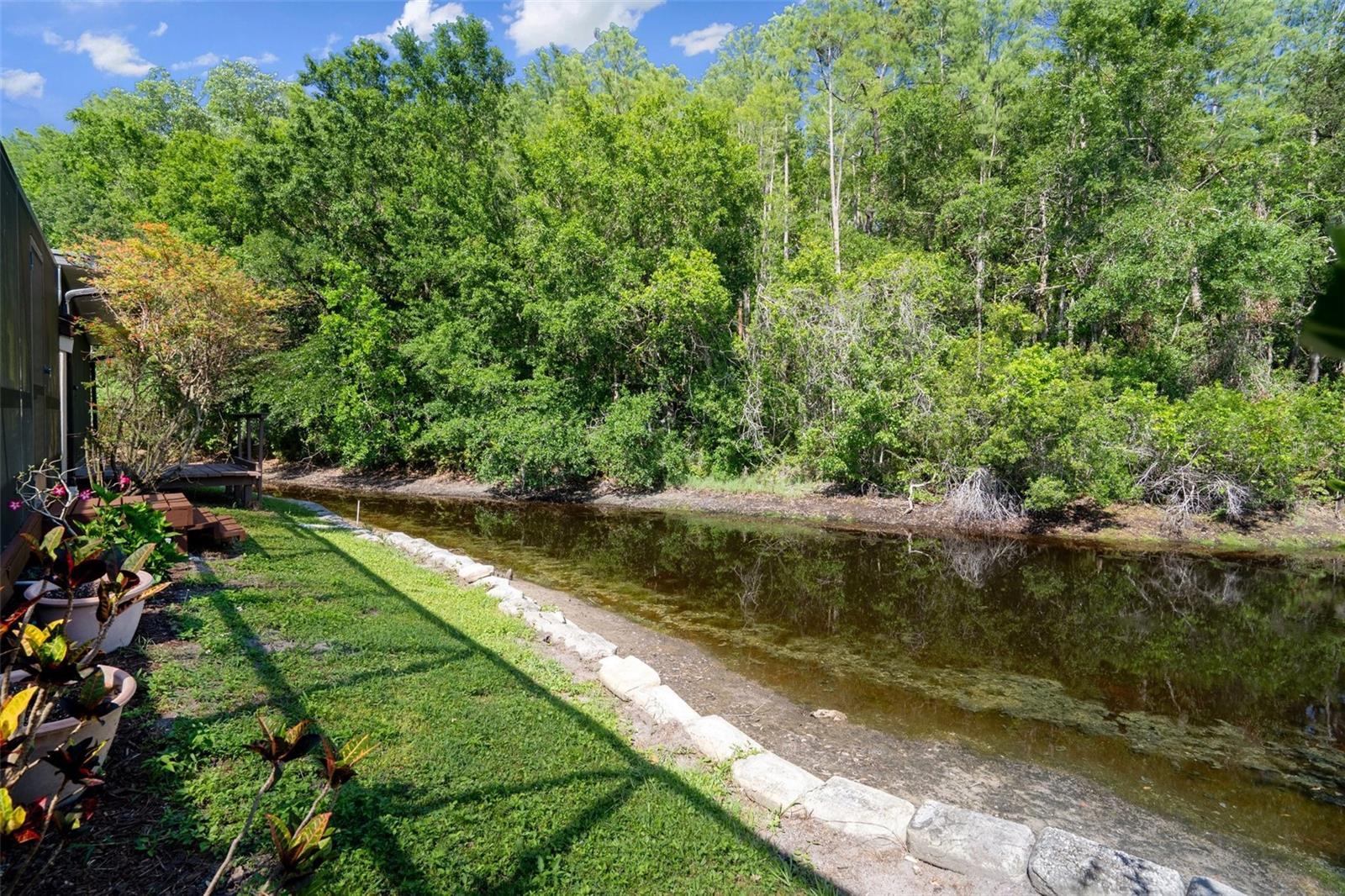CARROLLWOOD SPRGS CLUSTER HMS - Residential