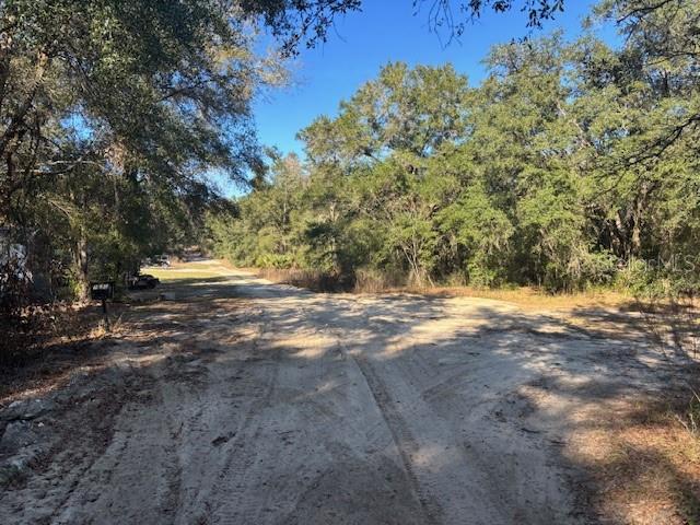 OCALA RIDGE - Land