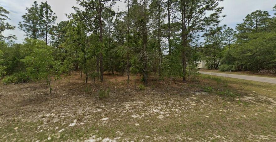 Spacious 0.29-acre unimproved homesite located in the growing community of Citrus Springs, FL. This oversized lot offers a peaceful residential setting with plenty of room to design your custom Florida home. Property features paved road access, established neighboring homes, and close proximity to key community amenities including parks, schools, the Citrus Springs Golf & Country Club, and the Withlacoochee State Trail. No HOA fees and no required timeline to build. Conveniently situated near Dunnellon, Beverly Hills, and Crystal River for shopping, dining, medical services, and outdoor recreation. A great opportunity for builders, investors, or anyone looking to secure land in a fast-developing area of Citrus County.