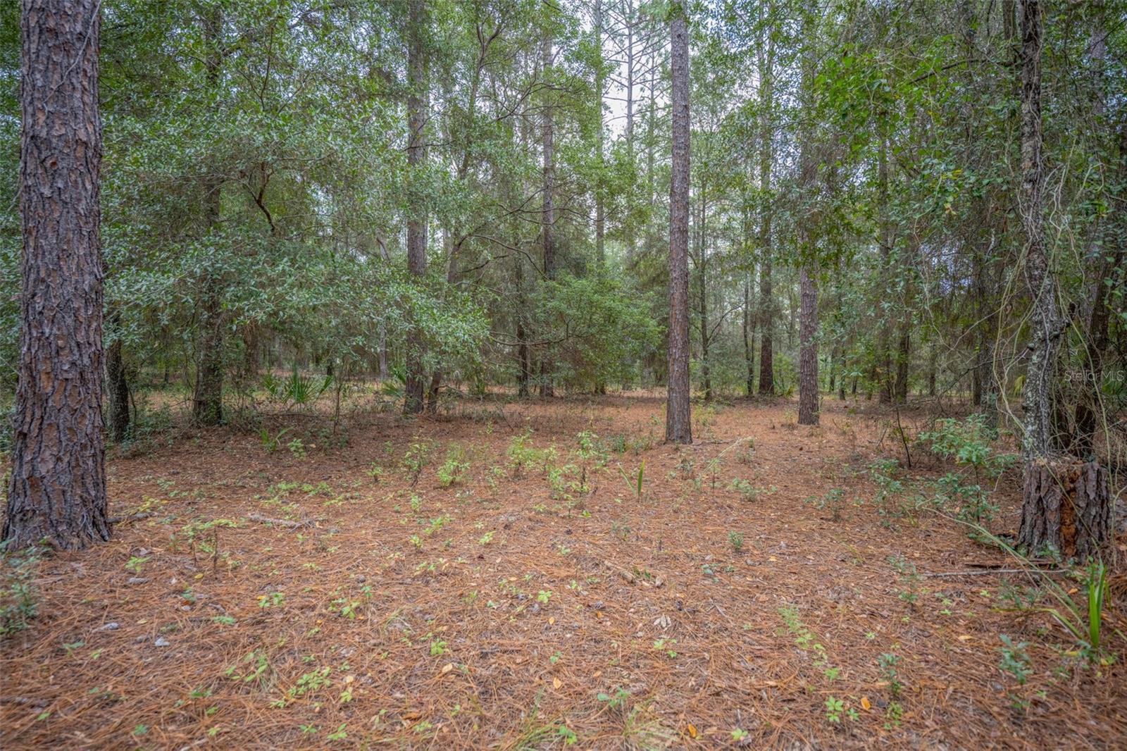 LAKEWOOD RANCHES SUB - Land