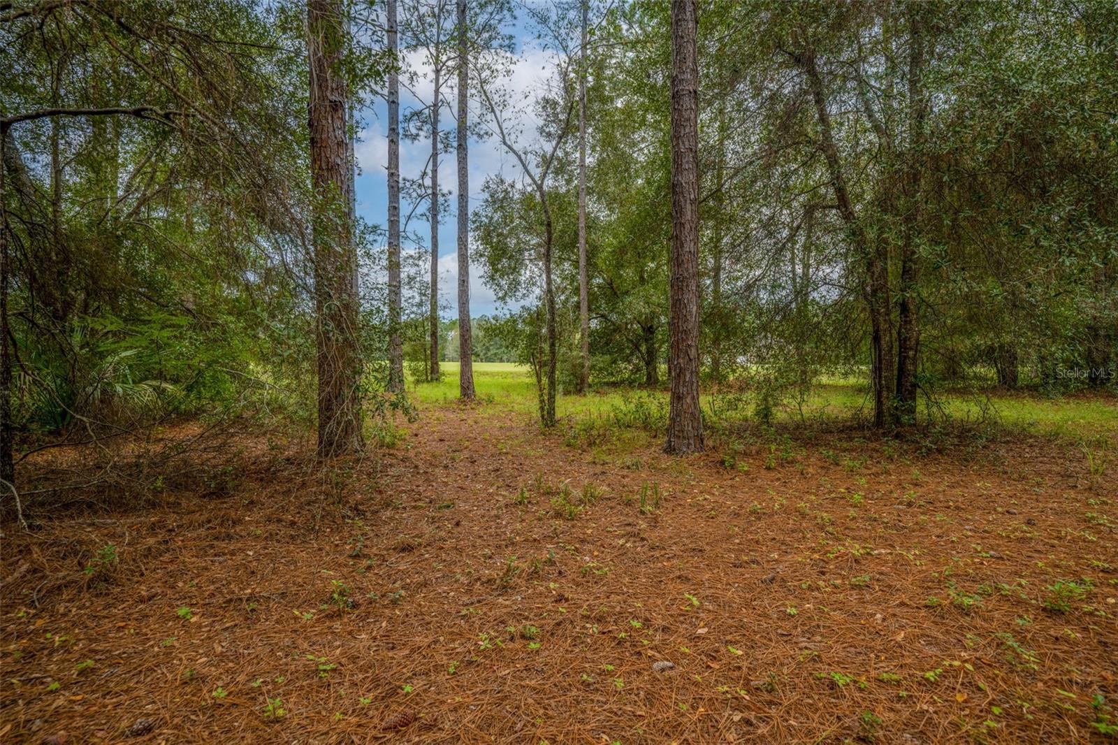 LAKEWOOD RANCHES SUB - Land