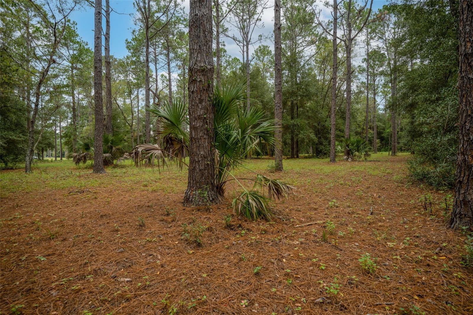 LAKEWOOD RANCHES SUB - Land