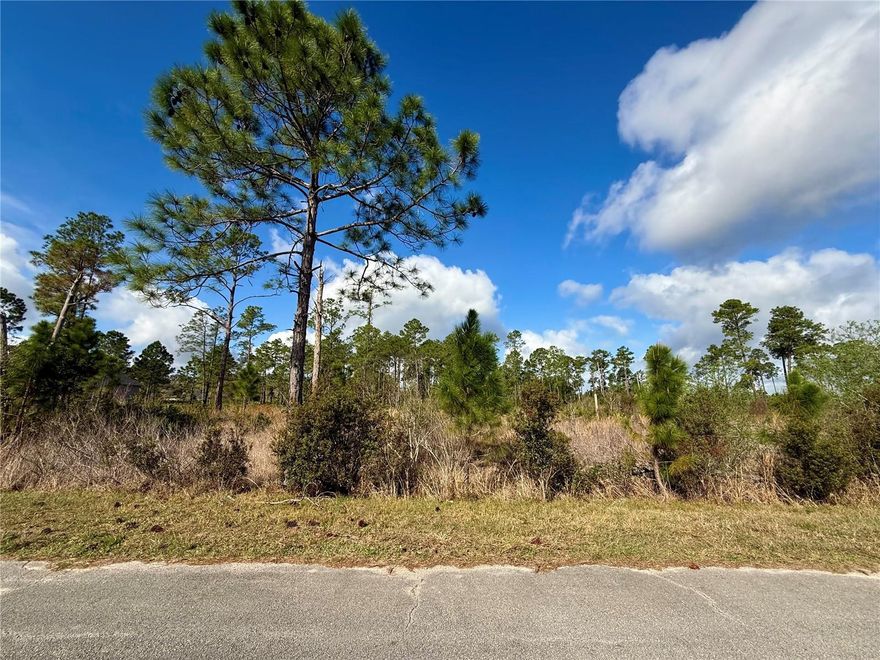 1 Acre, 150X290 parcel for sale located at Equestrian Royal Trails Subdivision, there is no time limit to build, and the minimum square footage is 1,200. YOU CAN CHOOSE YOUR BUILDER, or one can be recommended. Once you build, you may park your RV and boat. The zoning allows 2 horses an acre and deeded access to Lake Norris and Lake Marion within the Royal Trails. The community has a playground, park, and pavilion with many activities throughout the year. Enjoy the St. Johns River, Lake Dora, Lake Eustis and more within half hour of the Subdivision. The HOA is $92.00 a YEAR an Acre. Royal Trails is a deed restrictive community, no mobile, modular or manufacture homes allowed. No CDD and roads are public maintained. Lot Exception for Density has been approved.