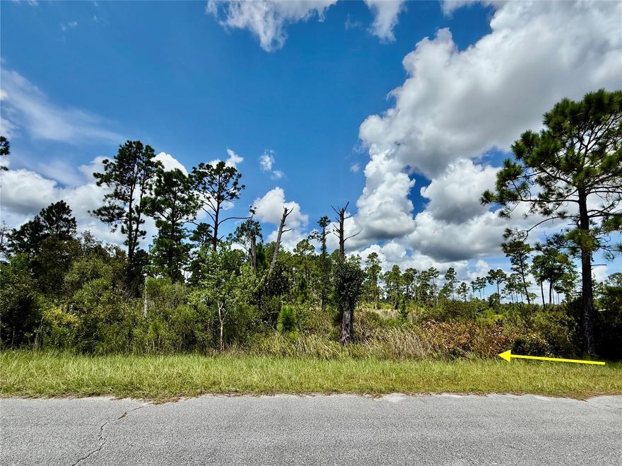 1 Acre, 150X290 parcel for sale located at Equestrian Royal Trails Subdivision, there is no time limit to build, and the minimum square footage is 1,200. YOU CAN CHOOSE YOUR BUILDER, or one can be recommended. Once you build, you may park your RV and boat. The zoning allows 2 horses an acre and deeded access to Lake Norris and Lake Marion within the Royal Trails. The community has a playground, park, and pavilion with many activities throughout the year. Enjoy the St. Johns River, Lake Dora, Lake Eustis and more within half hour of the Subdivision. The HOA is $92.00 a YEAR an Acre. Royal Trails is a deed restrictive community, no mobile, modular or manufacture homes allowed. Adjacent parcel also available. No CDD and roads are public maintained. Lot Exception for Density has been approved.