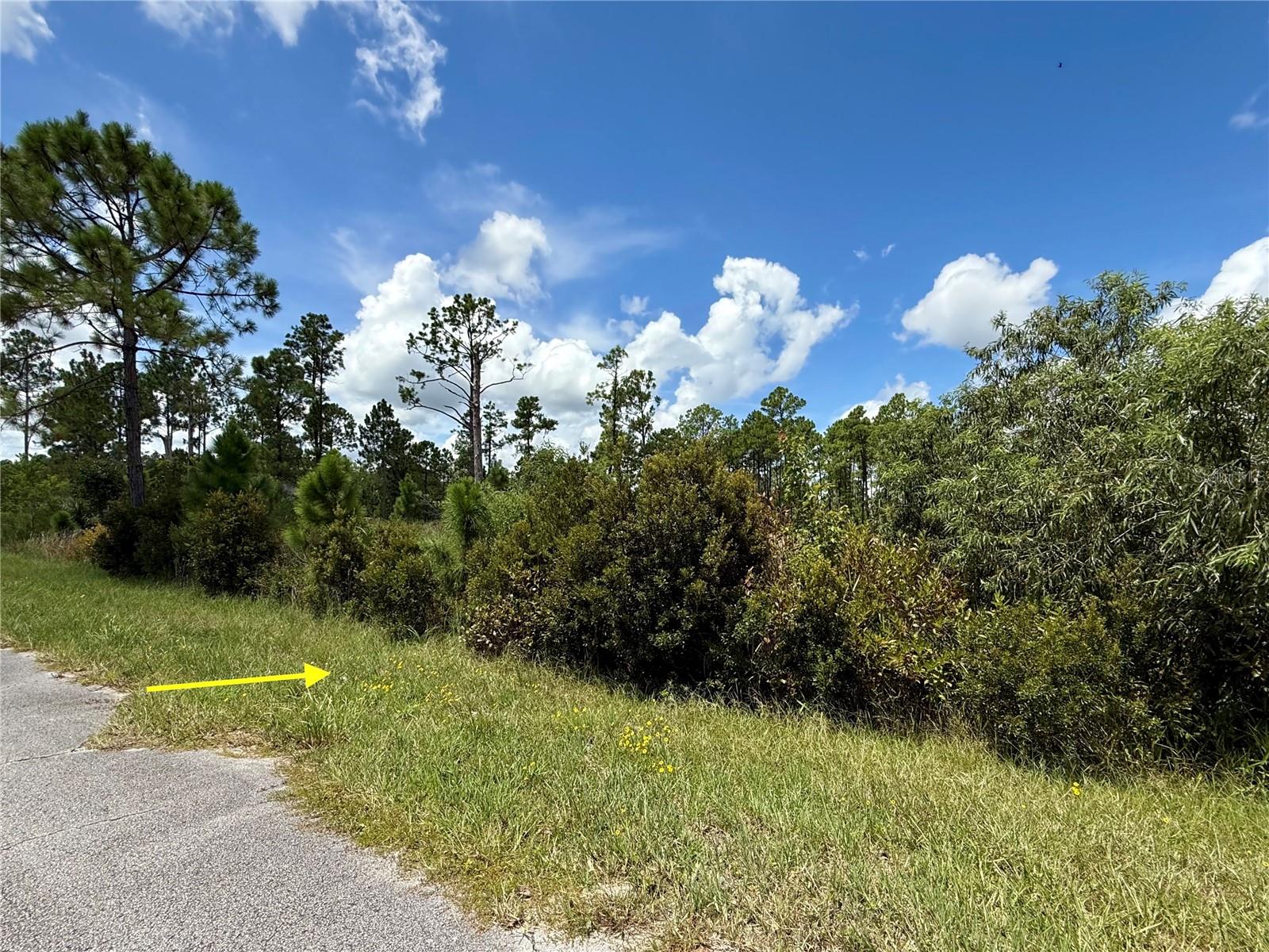 ROYAL TRAILS UNIT #1 - Land