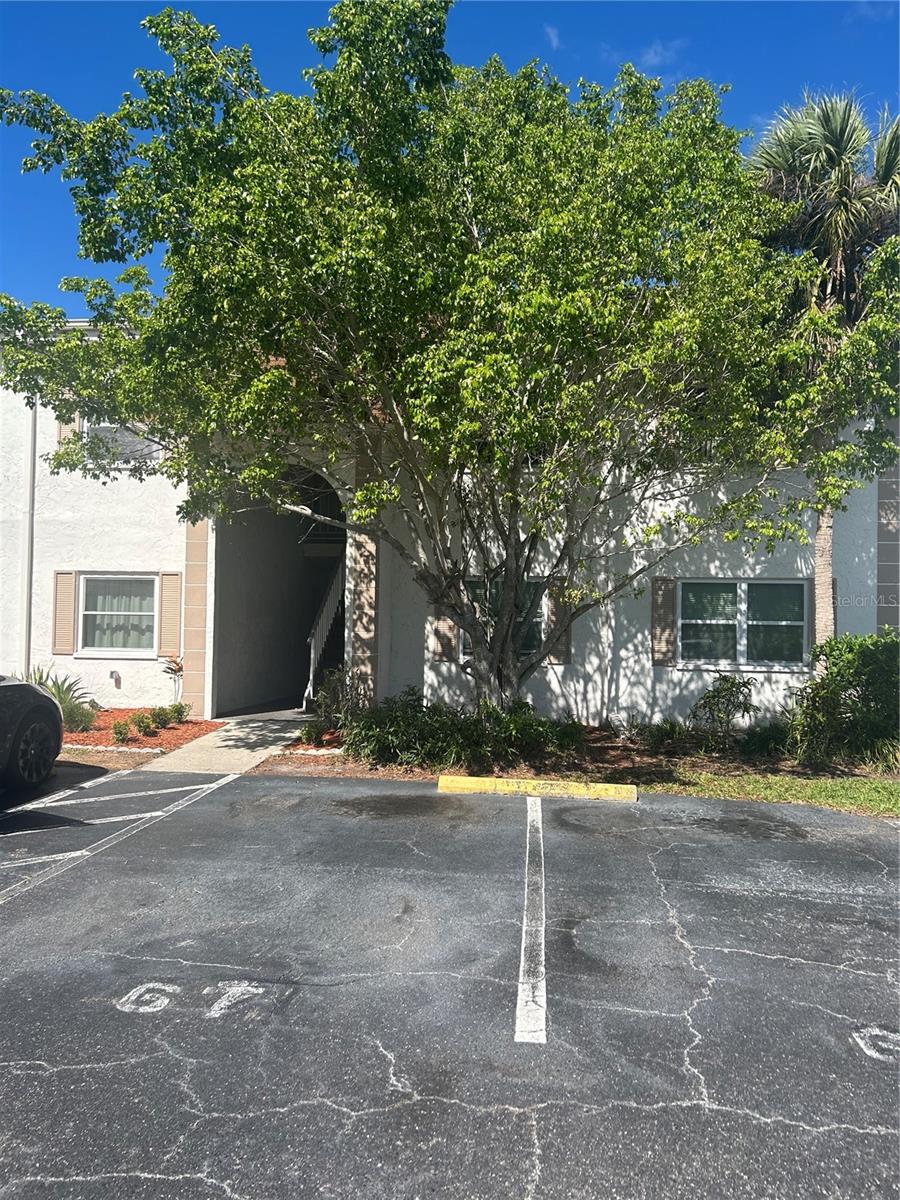 383 S MCMULLEN BOOTH ROAD 68