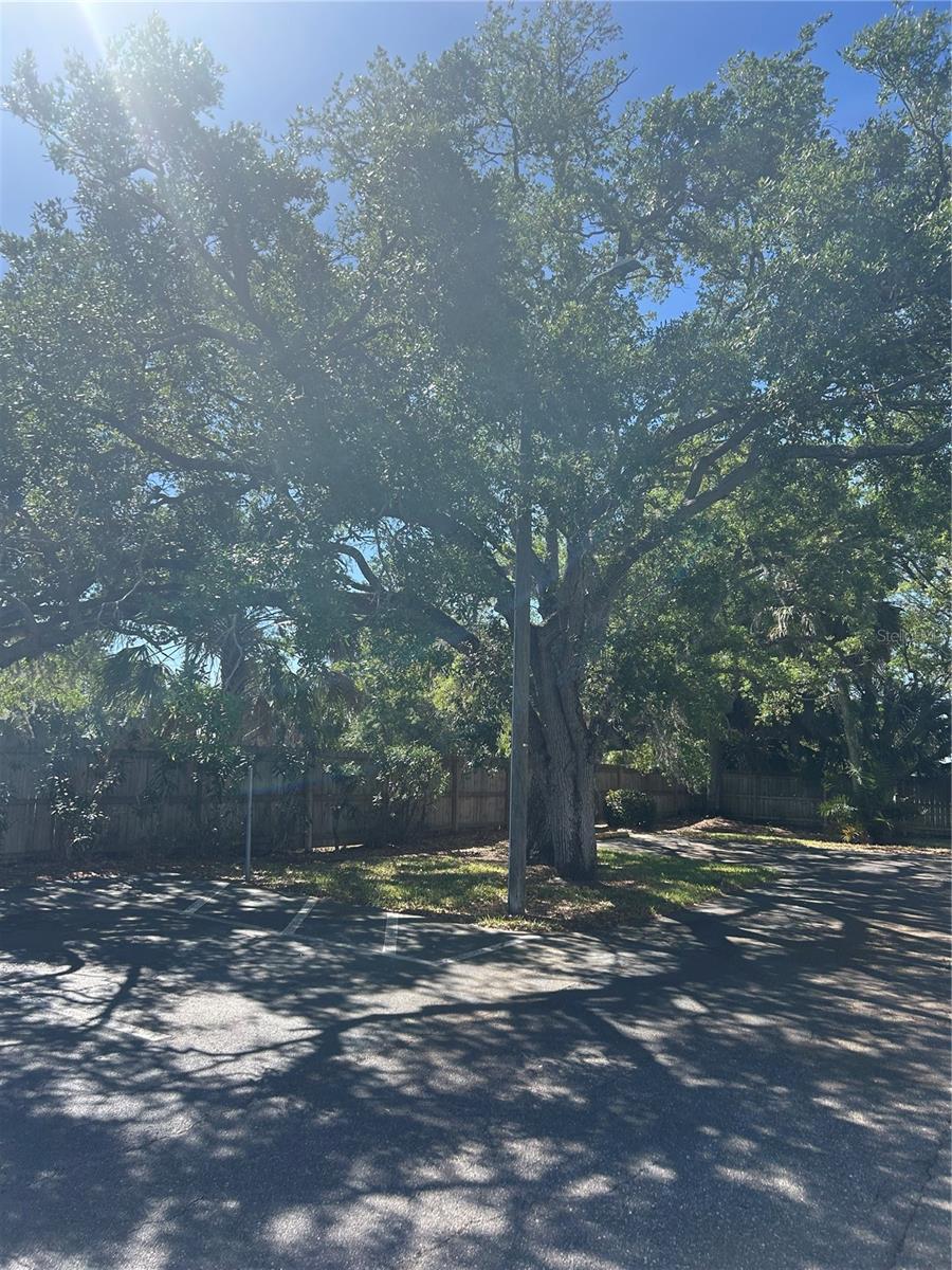 383 S MCMULLEN BOOTH ROAD 68