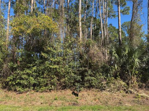 24 BRIGADOON LANE PALM COAST FL 32137
