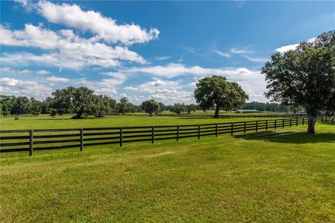 Tiny photo for 12520 NW 160th Street, Reddick, FL 32686 (MLS # OM679448)