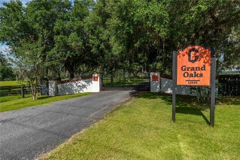 Tiny photo for 12520 NW 160th Street, Reddick, FL 32686 (MLS # OM679448)
