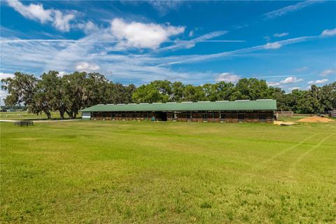 Tiny photo for 12520 NW 160th Street, Reddick, FL 32686 (MLS # OM679448)