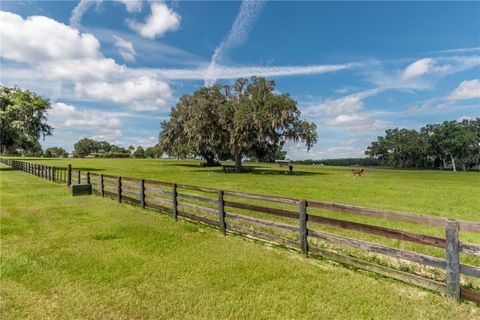 Tiny photo for 12520 NW 160th Street, Reddick, FL 32686 (MLS # OM679448)