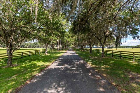 Tiny photo for 12520 NW 160th Street, Reddick, FL 32686 (MLS # OM679448)