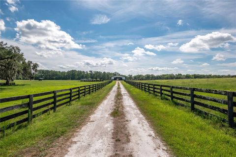 Tiny photo for 12520 NW 160th Street, Reddick, FL 32686 (MLS # OM679448)