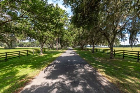 Tiny photo for 12520 NW 160th Street, Reddick, FL 32686 (MLS # OM679448)