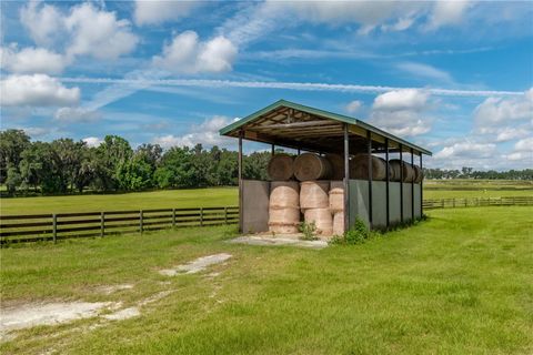Tiny photo for 12520 NW 160th Street, Reddick, FL 32686 (MLS # OM679448)
