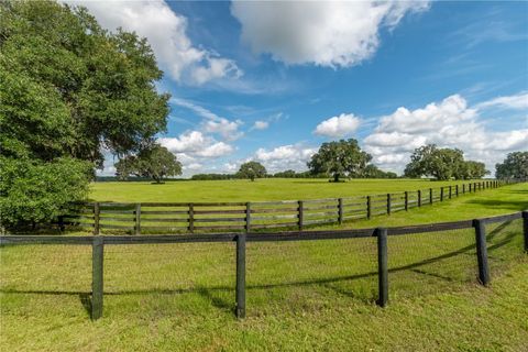 Tiny photo for 12520 NW 160th Street, Reddick, FL 32686 (MLS # OM679448)