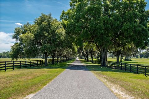 Tiny photo for 12520 NW 160th Street, Reddick, FL 32686 (MLS # OM679448)