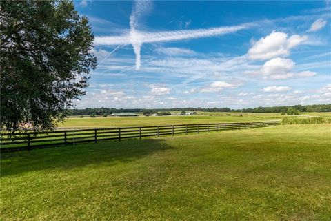 Tiny photo for 12520 NW 160th Street, Reddick, FL 32686 (MLS # OM679448)