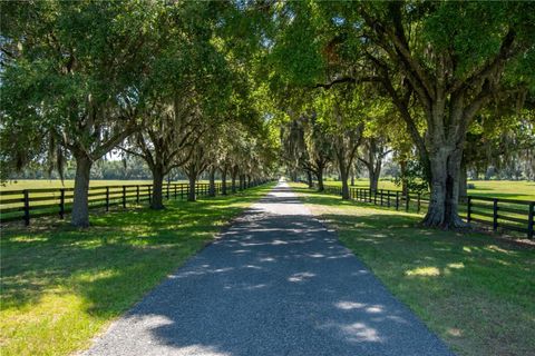 Tiny photo for 12520 NW 160th Street, Reddick, FL 32686 (MLS # OM679448)