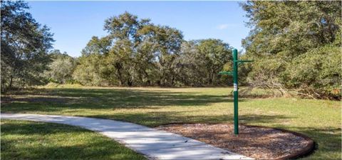 Tiny photo for 16421 Fernridge Street, Clermont, FL 34714 (MLS # O6387374)