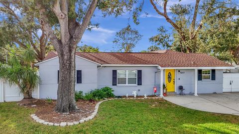 A home in TAMPA