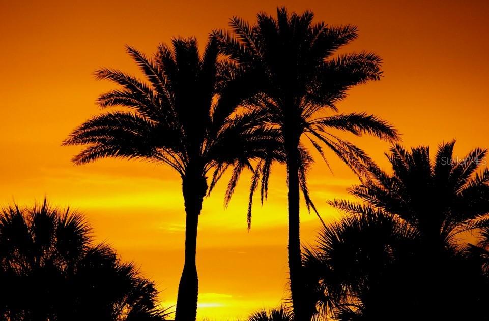 PLACE 450 - Residential