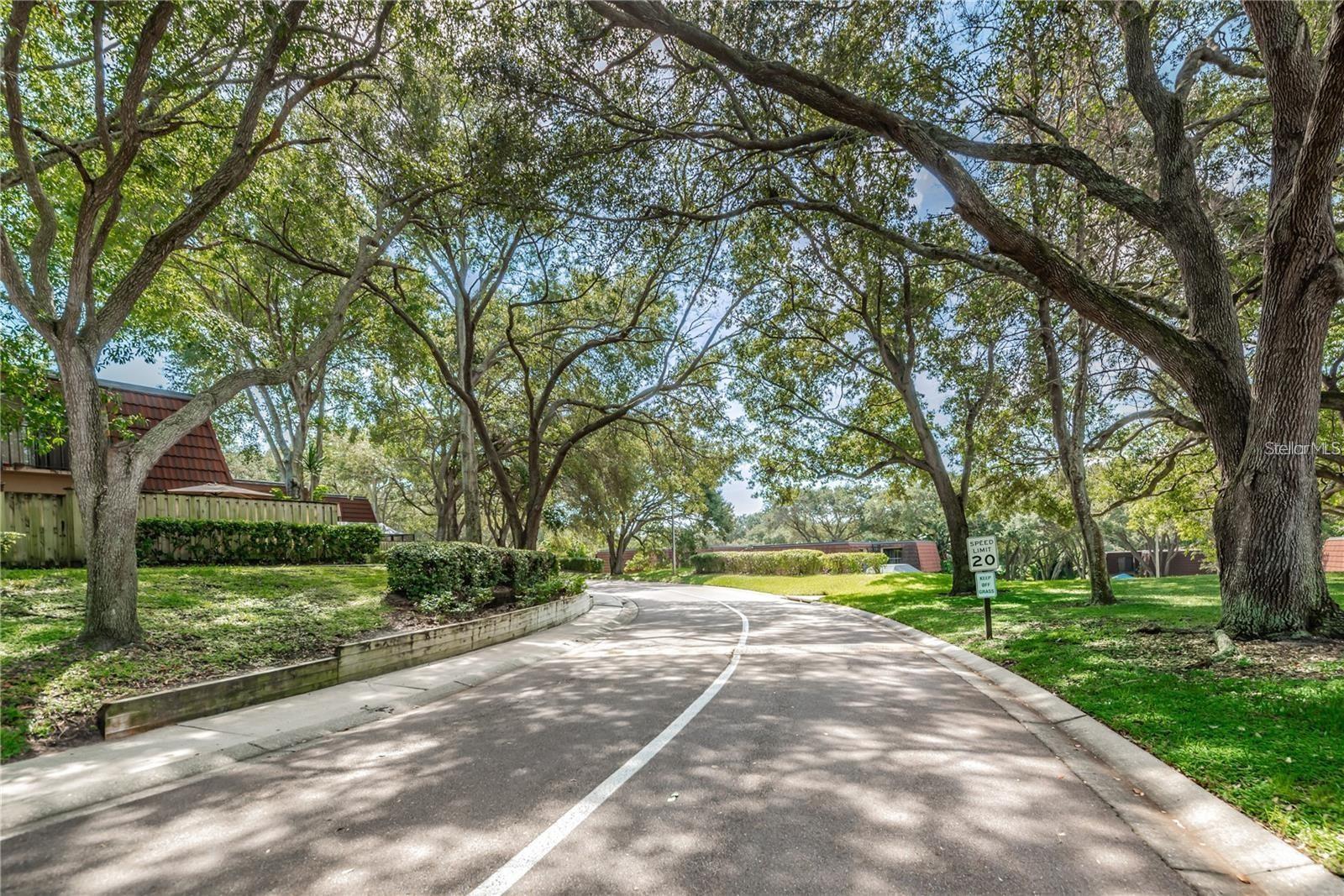 WEDGE WOOD OF PALM HARBOR - Residential