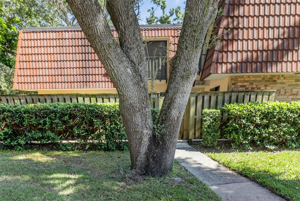 Photo of 693 1st Court, Palm Harbor, FL 34684 (MLS # TB8440830)